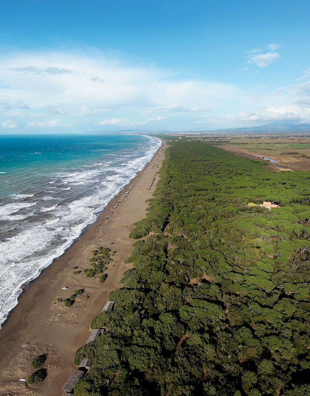Riserva Naturale Duna Feniglia